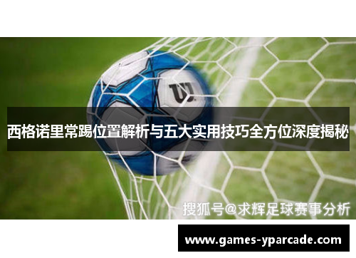 西格诺里常踢位置解析与五大实用技巧全方位深度揭秘