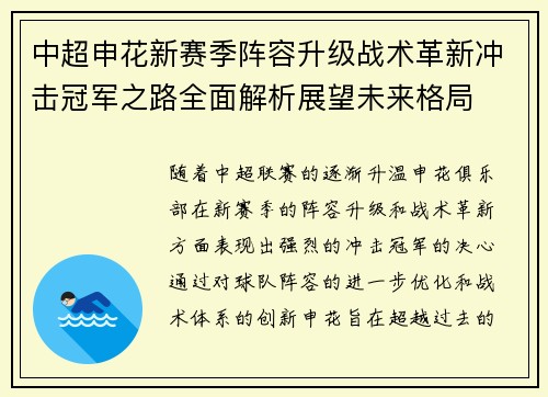 中超申花新赛季阵容升级战术革新冲击冠军之路全面解析展望未来格局