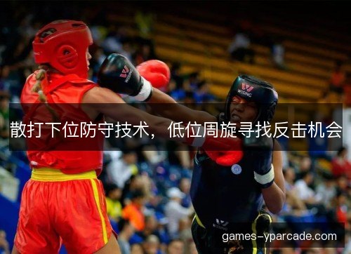 散打下位防守技术，低位周旋寻找反击机会